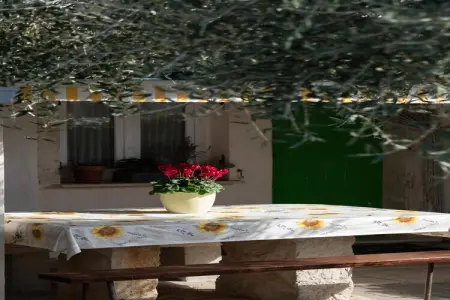 Vieille maison de vacances à Peresiji avec piscine - Photo 31