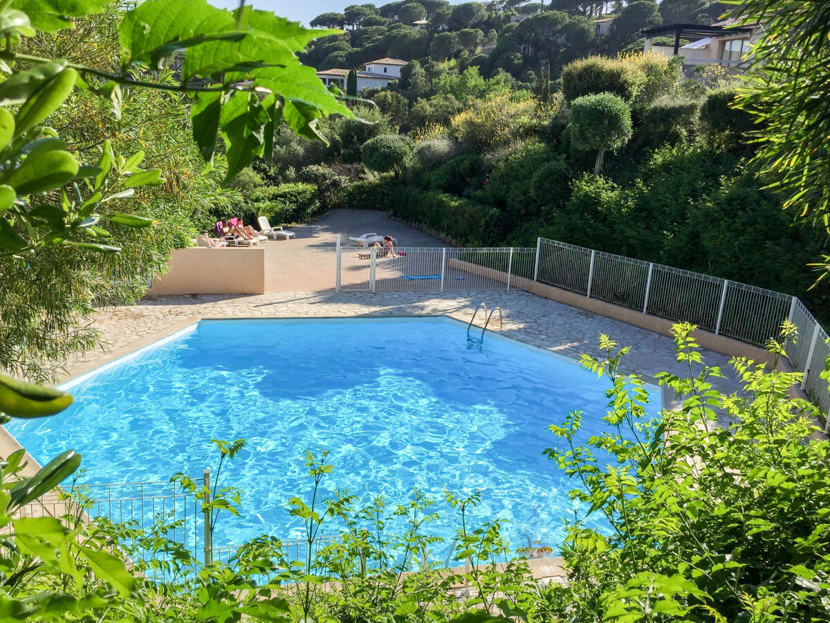 Appartement Les Coteaux de la Nartelle, Sainte-Maxime - Photo 17