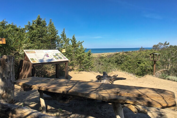 Pineta Iris – Maison 4 pers. face à la plage - Photo 22
