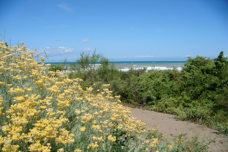 Pineta Camelia - Maison 300 m de la plage - Photo 17