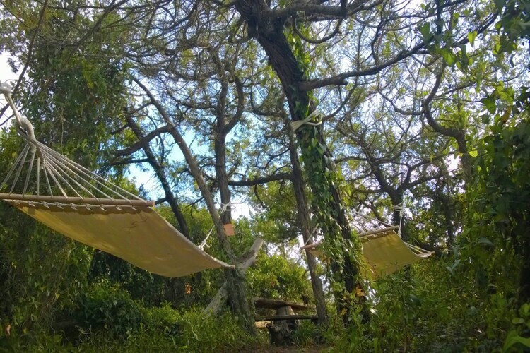 Pineta Bouganville – Maison 300m de la plage - Photo 30