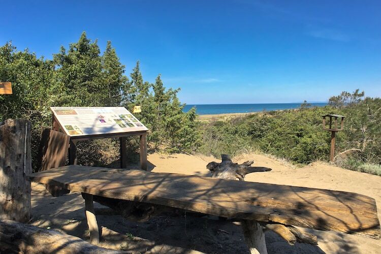 Pineta Azalea – Maison 8 pers., 300 m plage - Photo 29