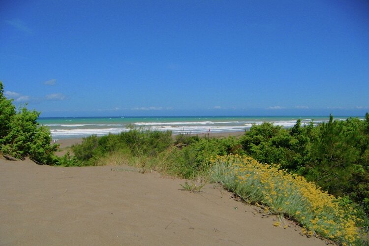 Pineta Azalea – Maison 8 pers., 300 m plage - Photo 33