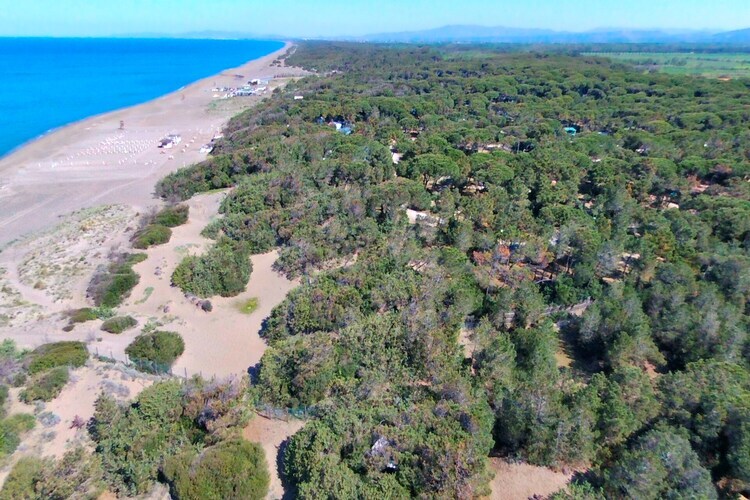Quercia Fresia, villa années 60 avec piscine - Photo 26