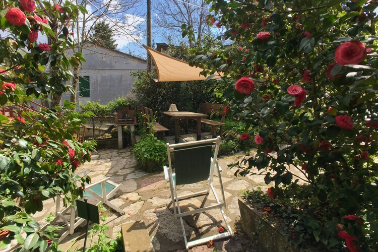 Agrifogli Rosa – Maison 4 pers. à 1 km du centre de Sassetta - Photo 18