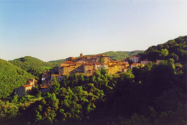 Agrifogli Rosa – Maison 4 pers. à 1 km du centre de Sassetta - Photo 25