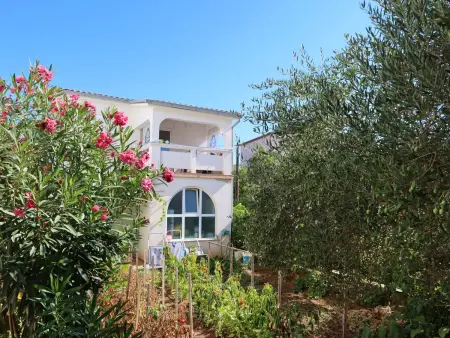 Location appartement à Vir, Lidija