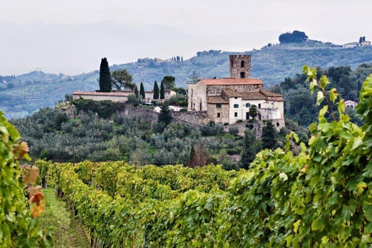 Casa La Fioraia, gîte fermier 4 pers. à Carmignano - Photo 30