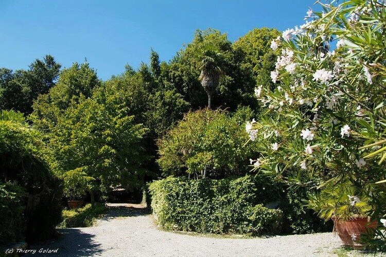 Casa La Fioraia, gîte fermier 4 pers. à Carmignano - Photo 39