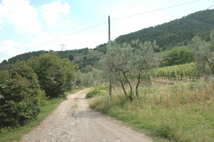 Casa La Fioraia, gîte fermier 4 pers. à Carmignano - Photo 40