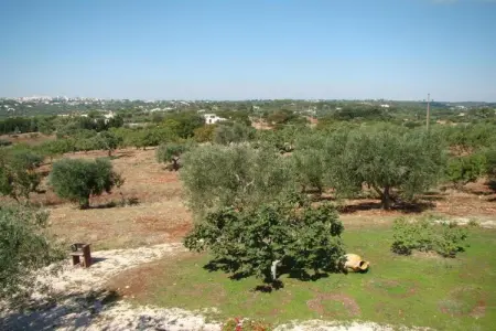 Villa avec piscine et maison d'amis à Cisternino : photo 34
