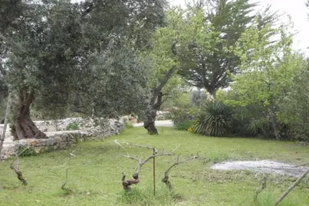 Villa avec piscine et maison d'amis à Cisternino : photo 35