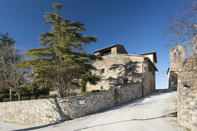 Terrazzina, maison toscane au cœur des oliviers - Photo 3