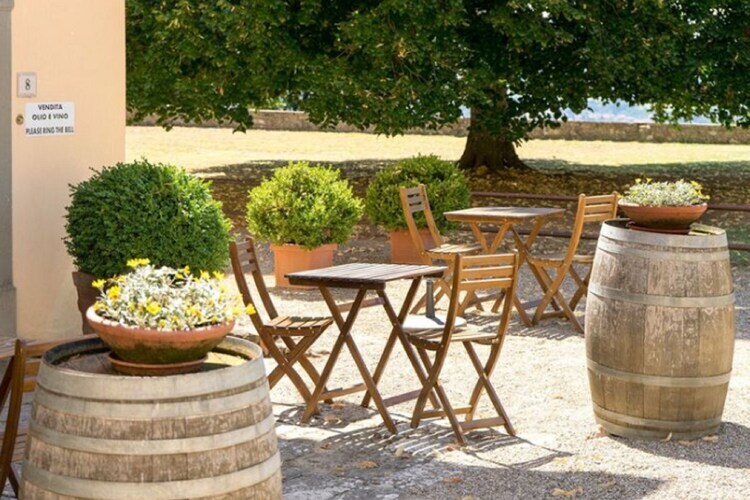 Terrazzina, maison toscane au cœur des oliviers - Photo 17