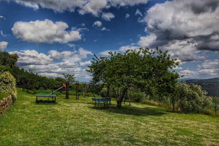 Terrazzina, maison toscane au cœur des oliviers - Photo 19