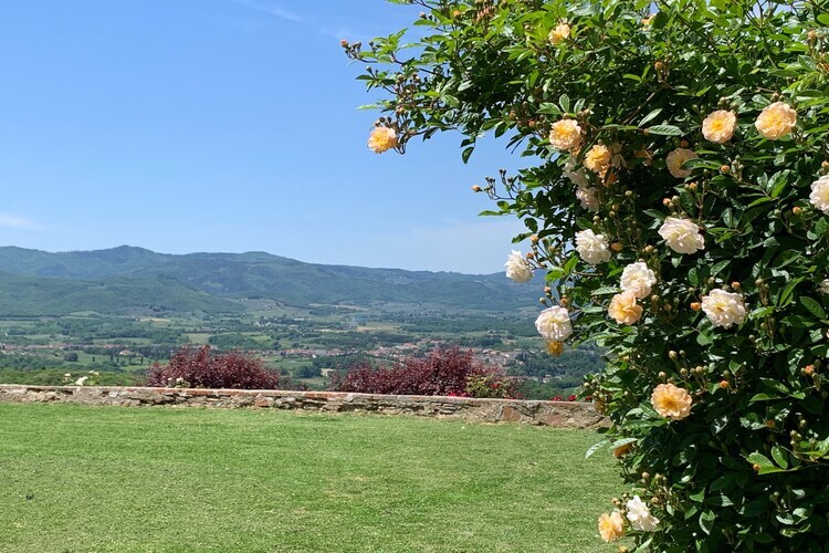 Terrazzina, maison toscane au cœur des oliviers - Photo 23