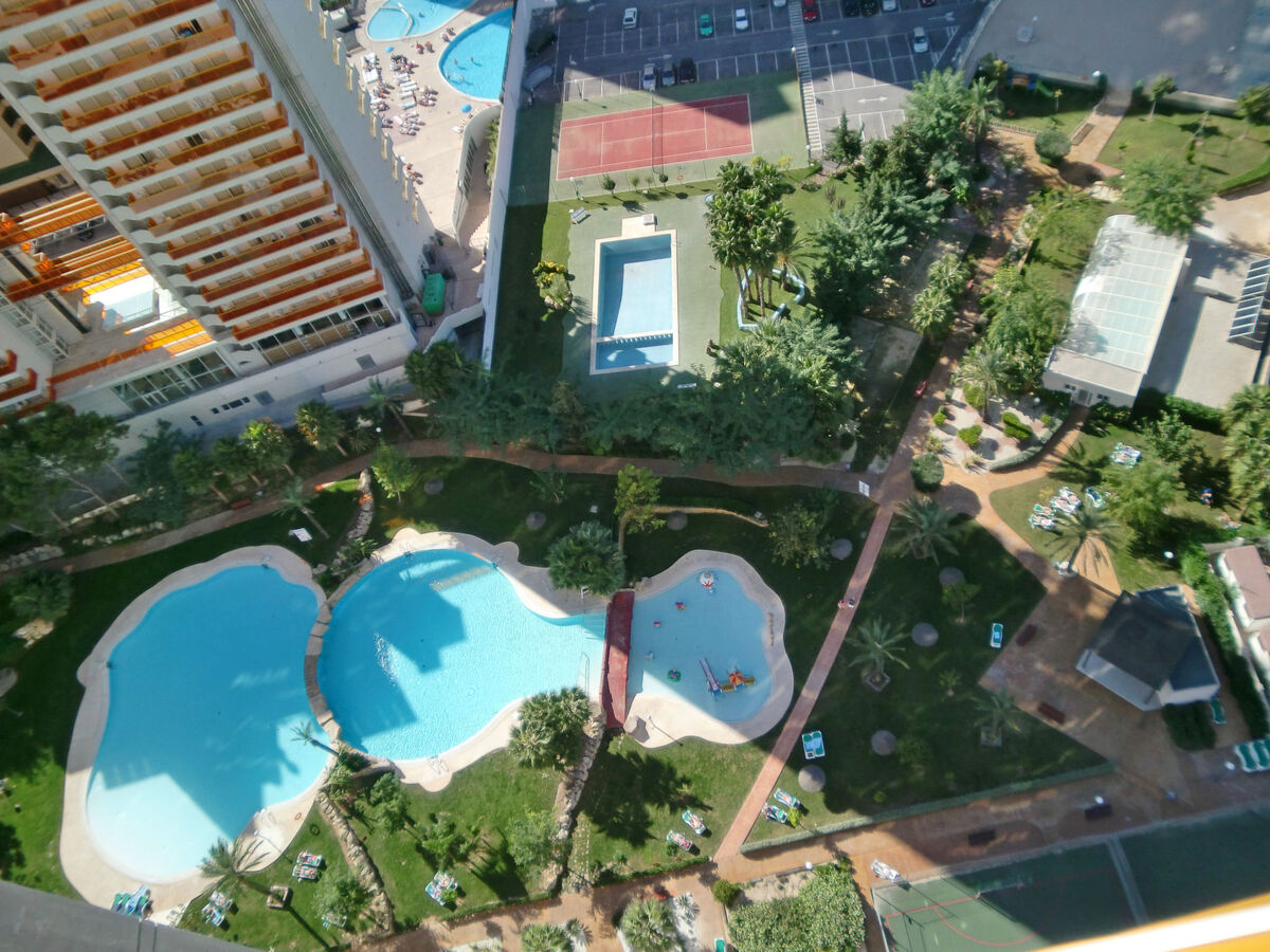 Gemelos : Appartement 19ème étage, 2 piscines à Benidorm - Photo 22