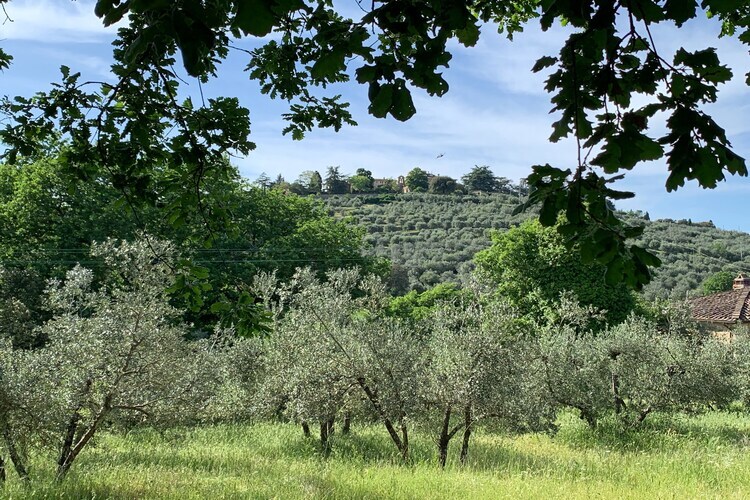 Belvedere, appartement en château avec piscine à Pergine Valdarno - Photo 14