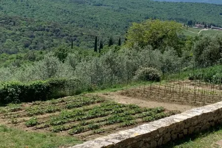 Belvedere, appartement en château avec piscine à Pergine Valdarno : photo 15