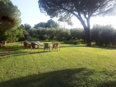 Podere Sant' Antonio, Appartement 6 personnes à Lago di Bolsena - Photo 22