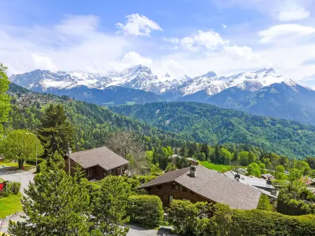 Les Aiguilles d'Argent 10, Chalet 4 personnes à Villars - Photo 13