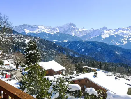 Les Aiguilles d'Argent 10, Chalet 4 personnes à Villars - Photo 15