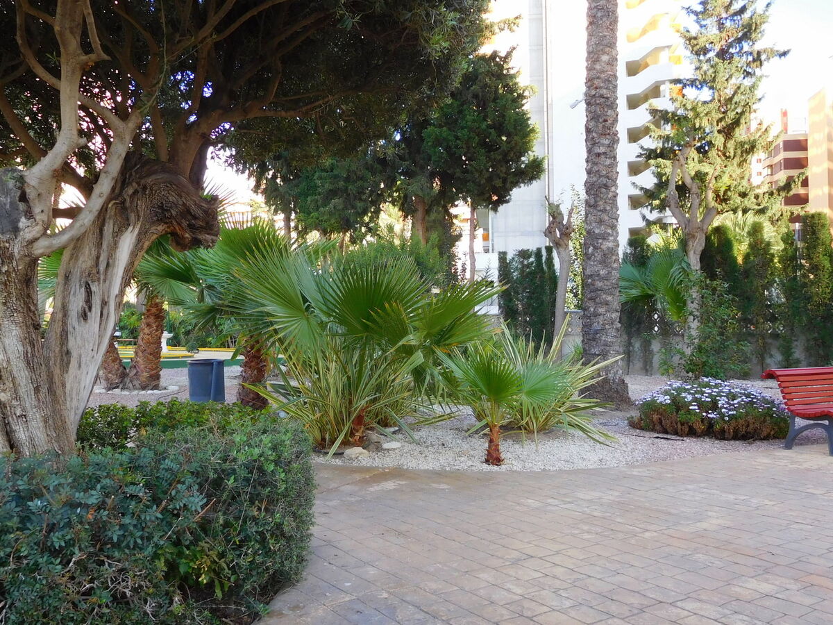Los Gemelos - Appartement 2 pièces, 12e étage, Benidorm - Photo 21