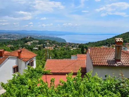 Lea, Maison 5 personnes à Opatija Rukavac - Photo 20