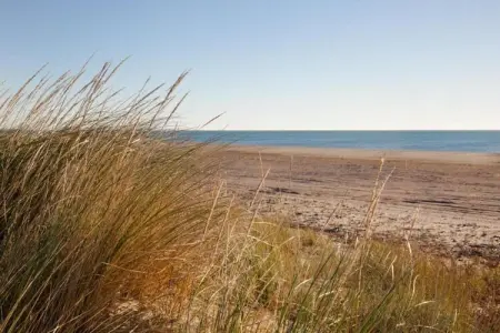 Maison 4 chambres Ravenoville, proche Utah Beach : photo 31