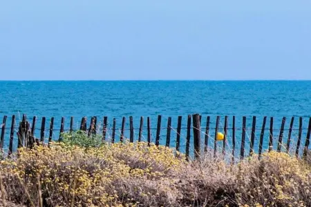 Maison 4 chambres Ravenoville, proche Utah Beach : photo 34