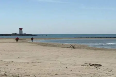 Maison 4 chambres Ravenoville, proche Utah Beach : photo 38