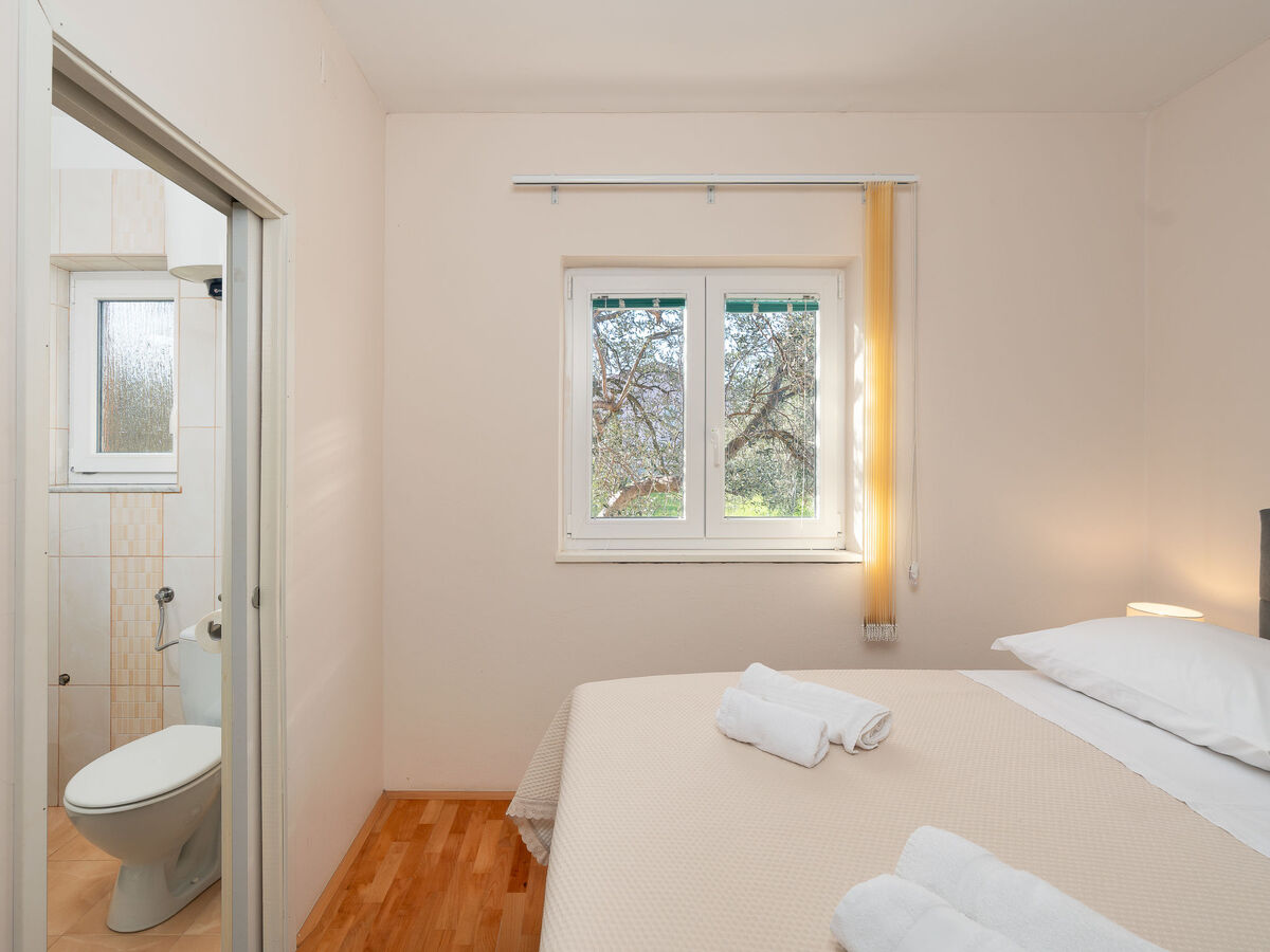 Maison Danijel à Zadar : piscine privée et terrasse - Photo 11