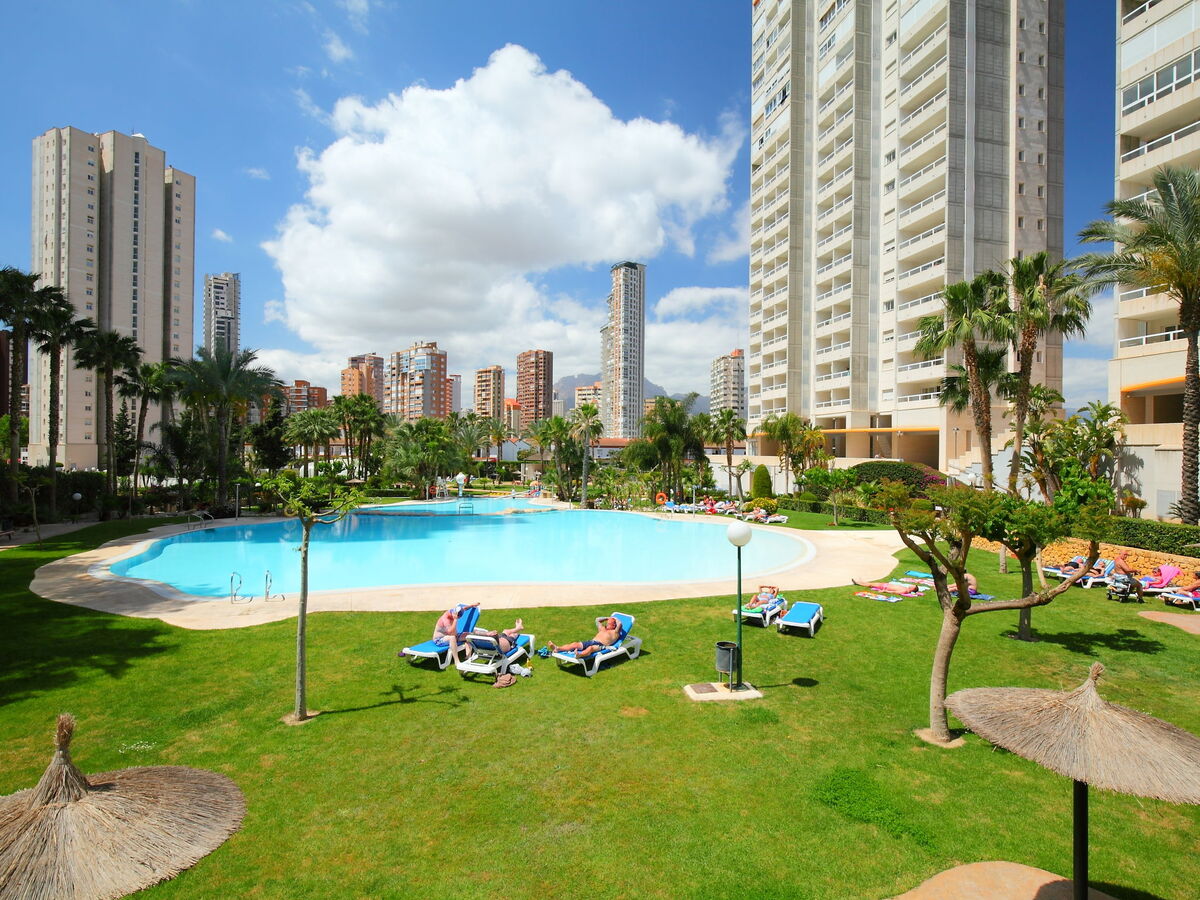 Gemelos, appartement 14e étage avec terrasse à Benidorm - Photo 13