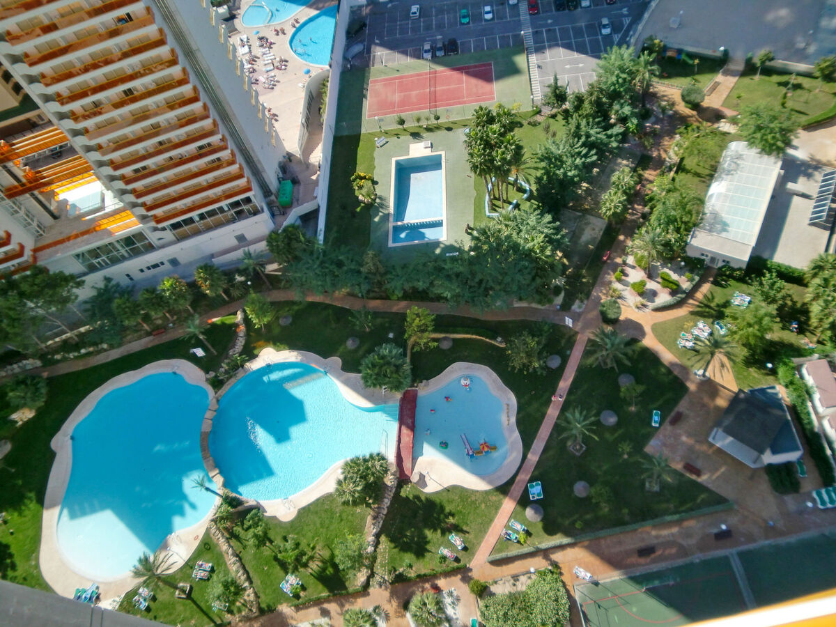 Gemelos, appartement 14e étage avec terrasse à Benidorm - Photo 16