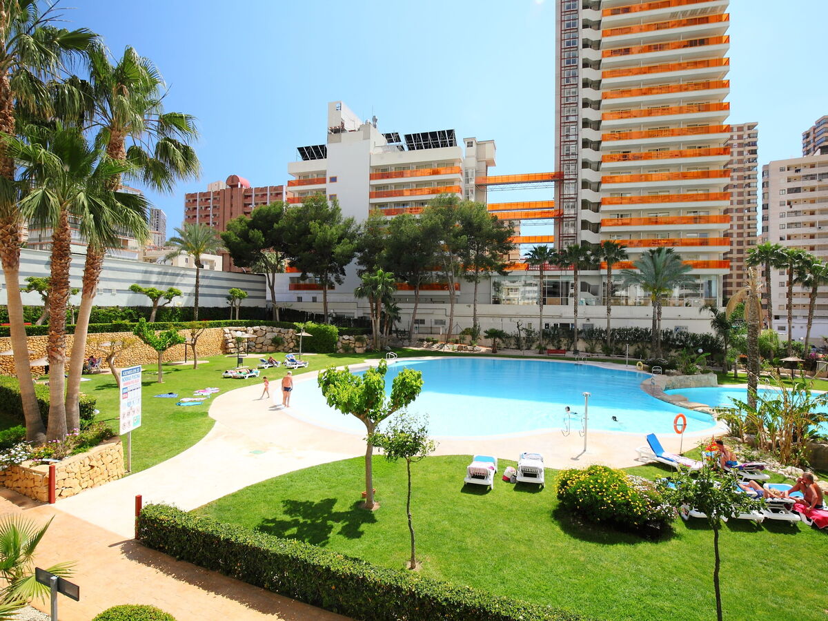 Gemelos, appartement 14e étage avec terrasse à Benidorm - Photo 17