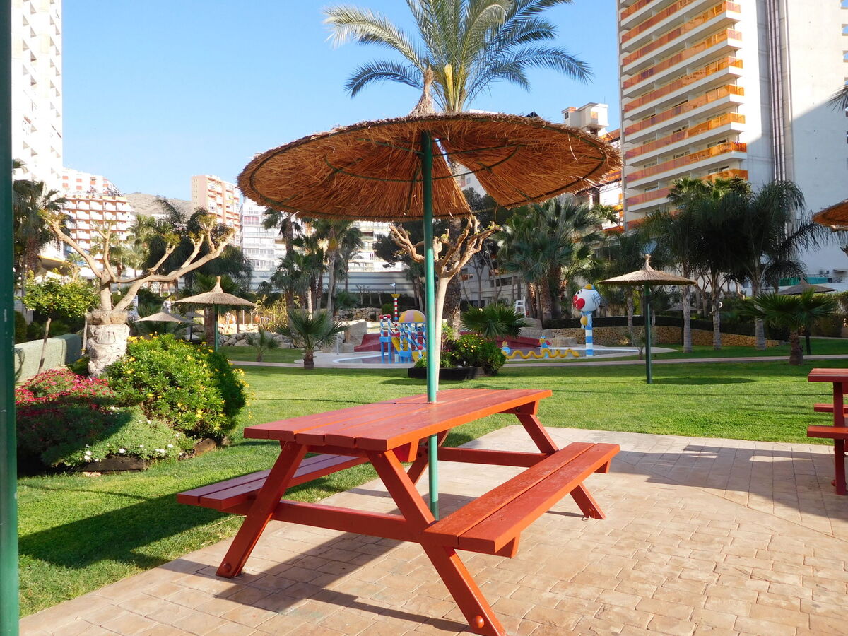 Gemelos, appartement 14e étage avec terrasse à Benidorm - Photo 19
