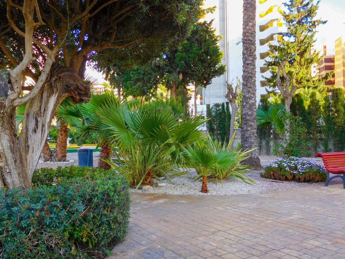 Gemelos, appartement 14e étage avec terrasse à Benidorm - Photo 21