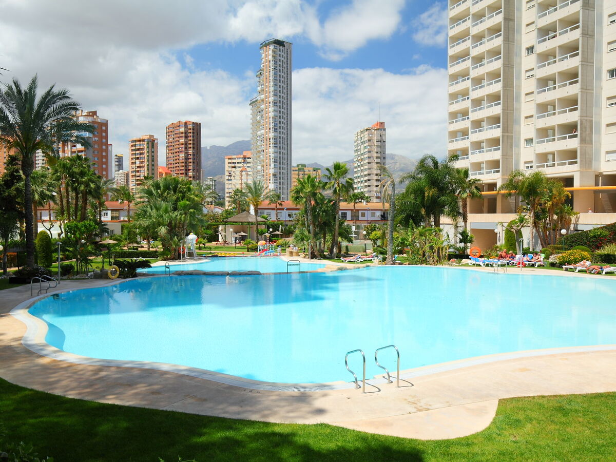 Gemelos, appartement 14e étage avec terrasse à Benidorm - Photo 23