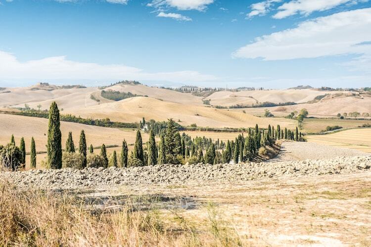 Leone – Gîte avec piscine aux Crete Senesi - Photo 36