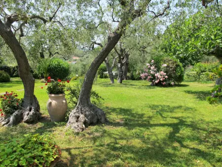 Villa Alberto A - 4 chambres, terrasse et piscine : photo 30