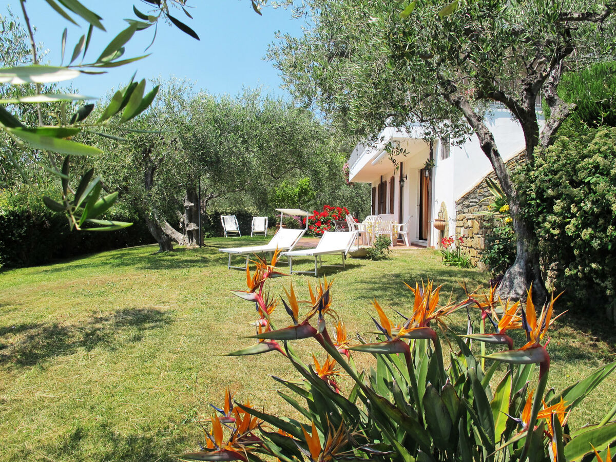 Villa Alberto B à Diano Marina - 3 chambres, piscine - Photo 1