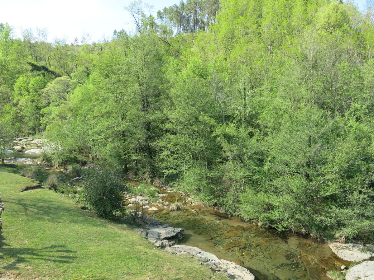 Le Moulin, maison 3 pièces avec piscine chauffée - Photo 8