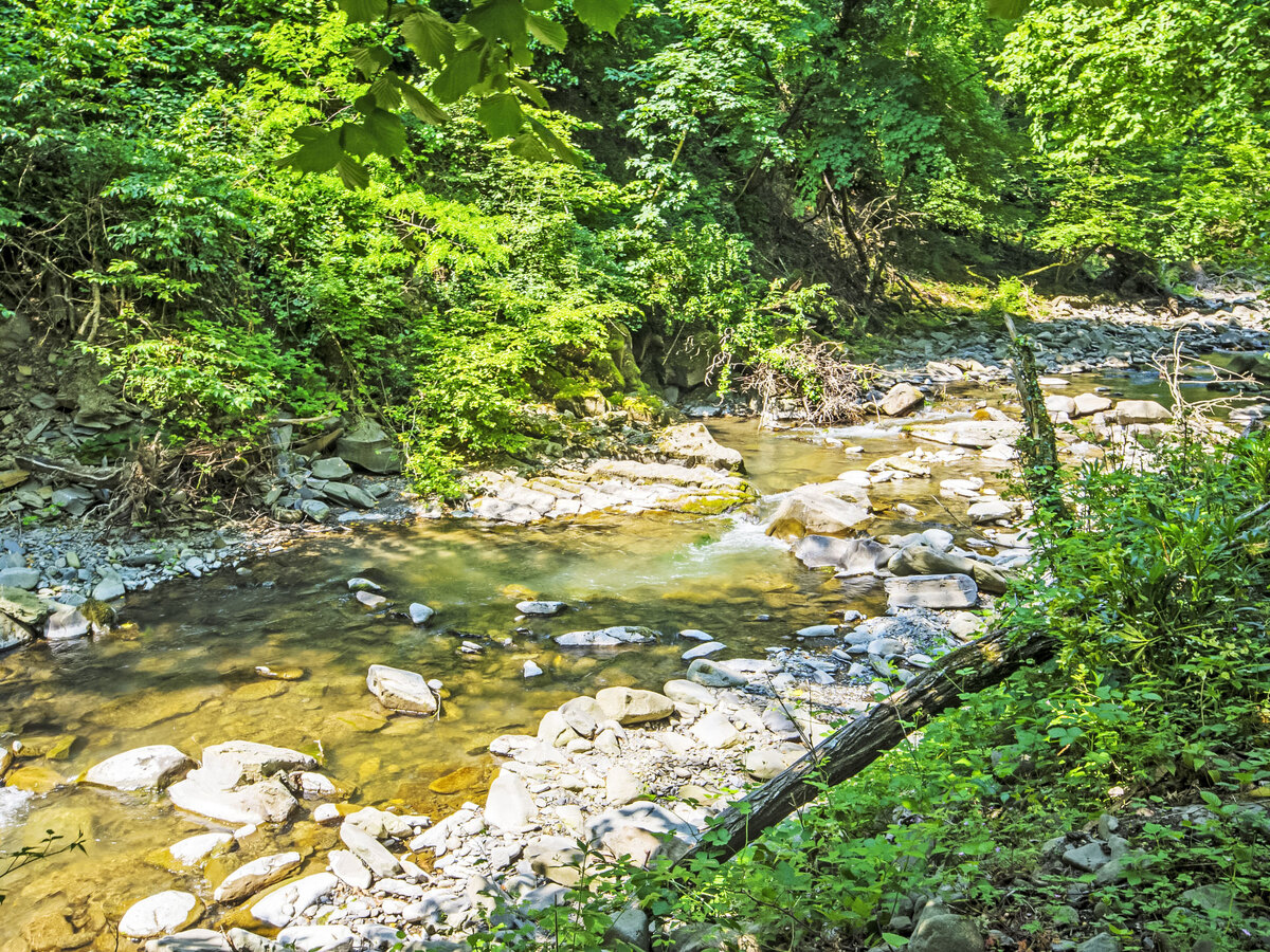Il Mulino di Cecco, gîte Toscane 10 pers. bord rivière - Photo 25