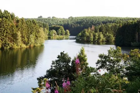 Villa Thermae – 7 chambres, sauna privé pour 18 pers. : photo 23