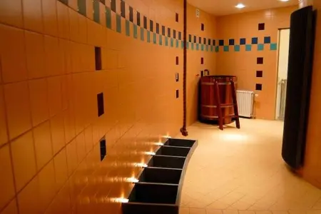 Villa Thermae – 7 chambres, sauna privé pour 18 pers. : photo 39