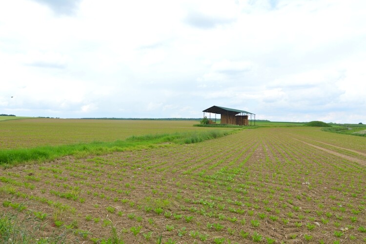 La Ferme de Foy 24 – Maison 9 chambres Onhaye - Photo 30