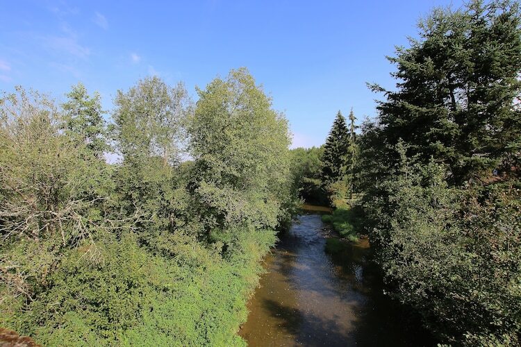 La Gentilhommière, maison 9 pers. au bord de la Sûre - Photo 30