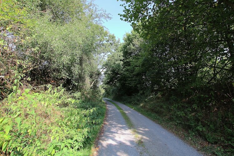 La Gentilhommière, maison 9 pers. au bord de la Sûre - Photo 32