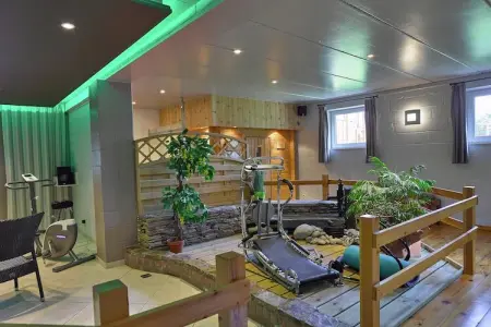 La Fraise des Bois, maison 9 pers. avec piscine et sauna : photo 8
