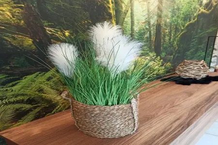 La Fraise des Bois, maison 9 pers. avec piscine et sauna : photo 23